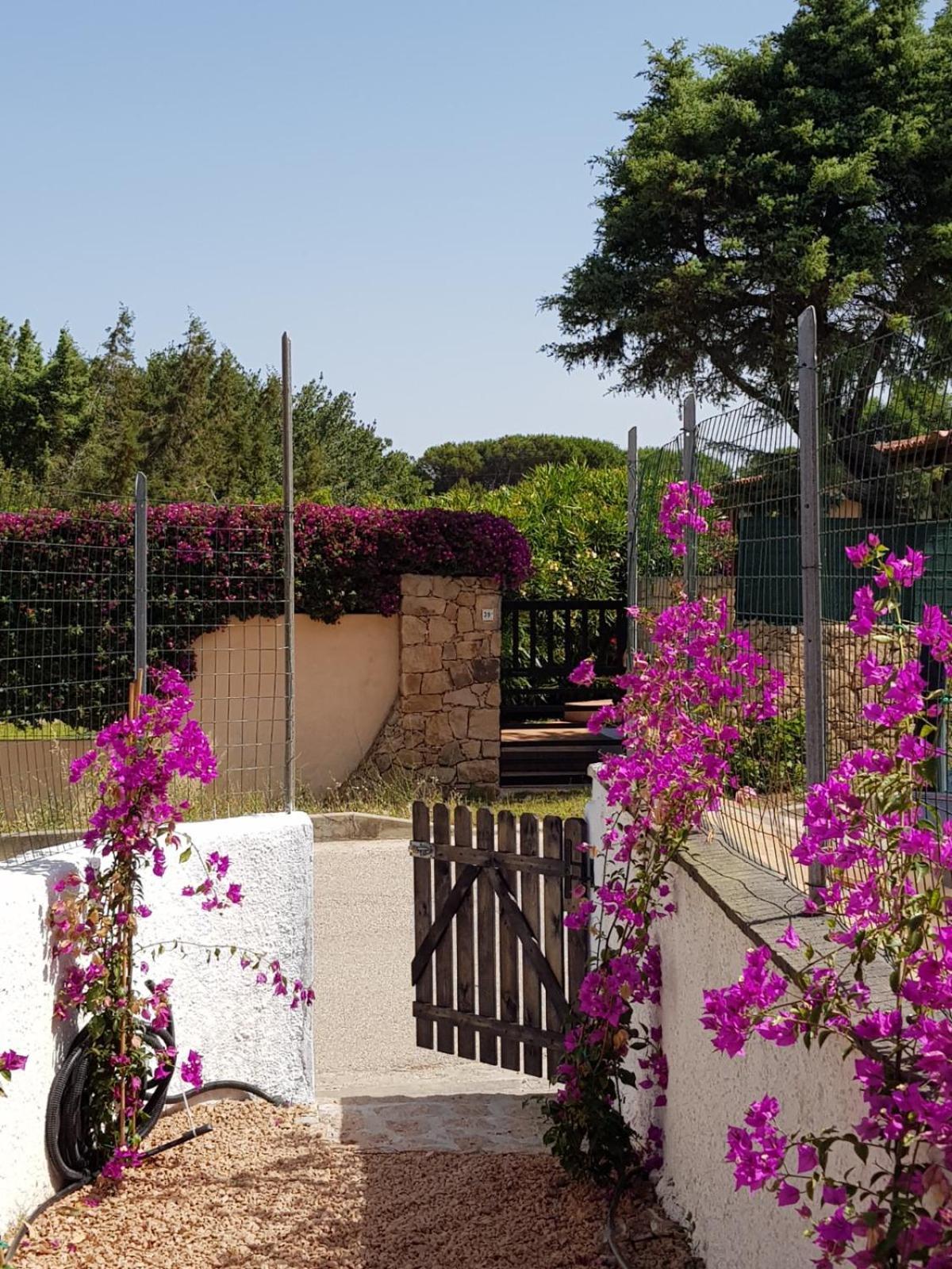 Villa Bouganville 15 Min A Piedi Dalla Spiaggia Rena Majore Esterno foto