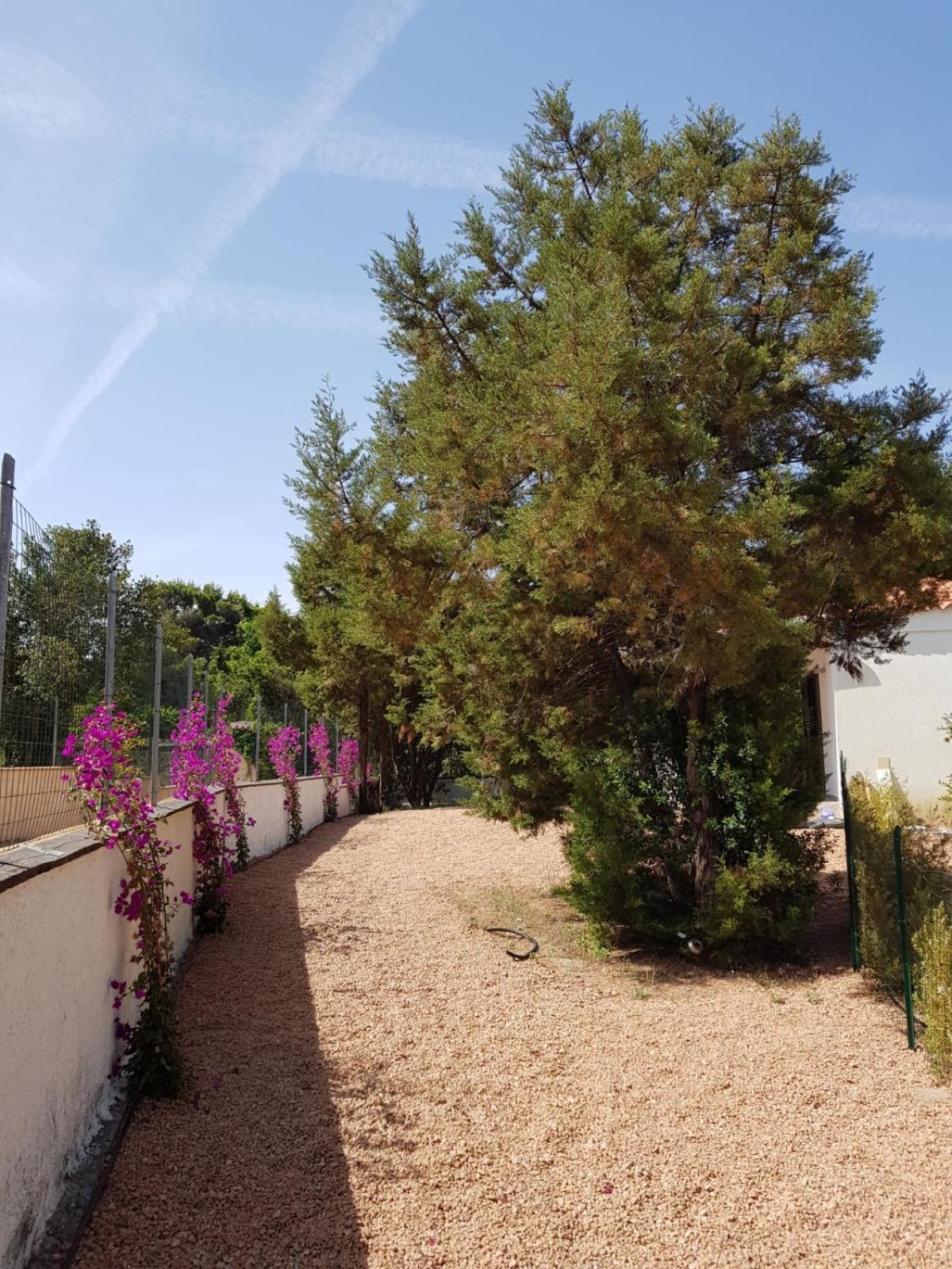 Villa Bouganville 15 Min A Piedi Dalla Spiaggia Rena Majore Esterno foto