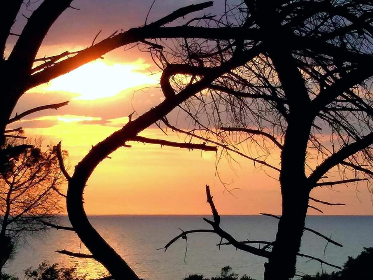 Villa Bouganville 15 Min A Piedi Dalla Spiaggia Rena Majore Esterno foto